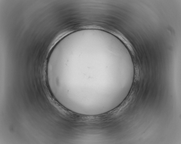 X0000112011002200908031017