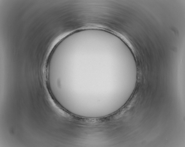 X0000112011003200908031017