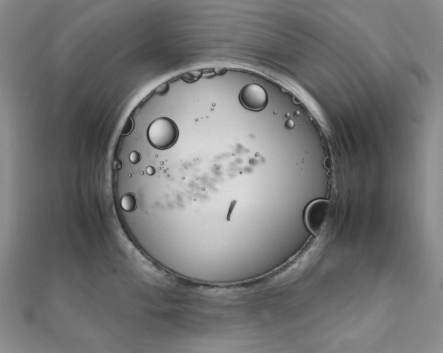 X0000112011004200908031017