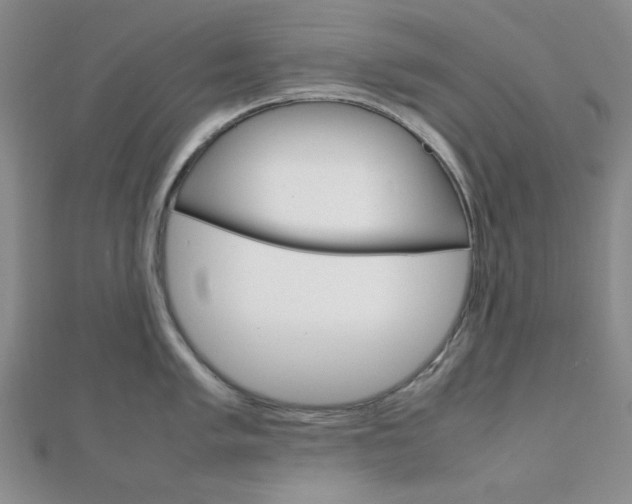 X0000112011005200908031017
