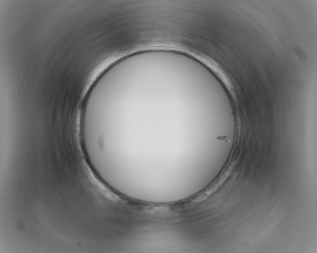 X0000112011006200908031017
