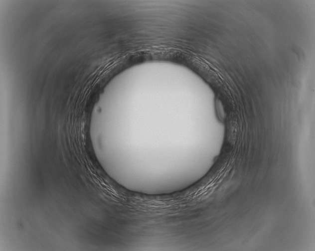 X0000112011010200908031017