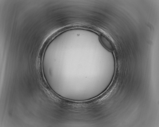 X0000112011021200908031017