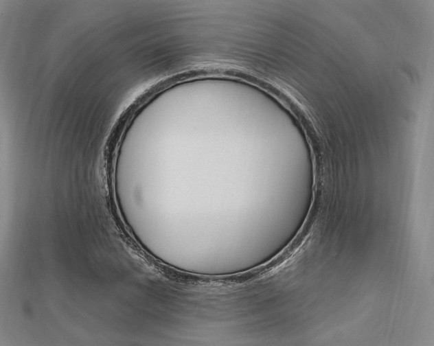 X0000112011022200908031017