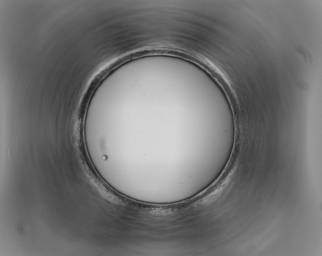 X0000112011029200908031017