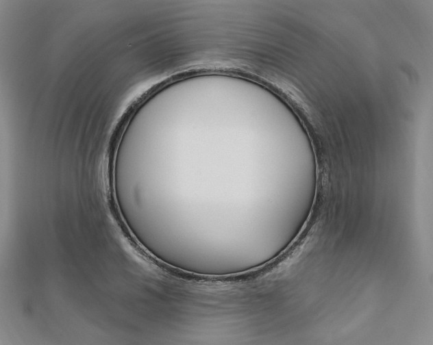 X0000112011030200908031017