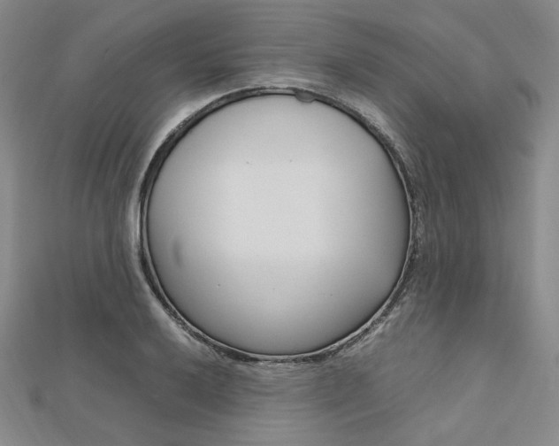 X0000112011032200908031017