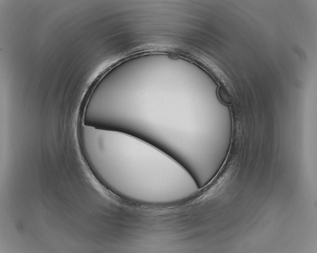 X0000112011034200908031017