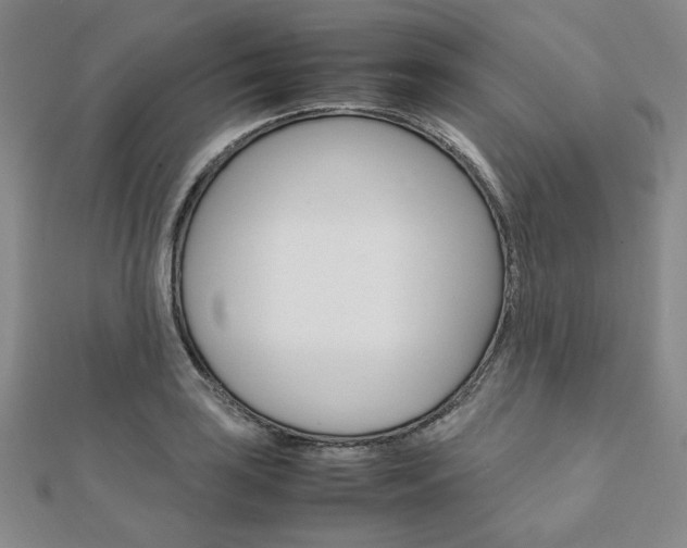 X0000112011035200908031017
