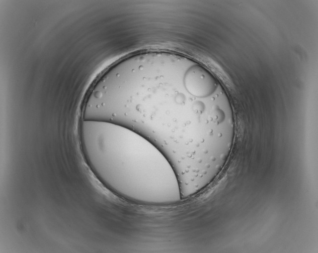 X0000112011036200908031017