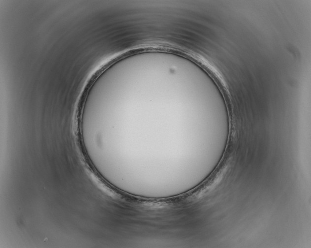 X0000112011037200908031017