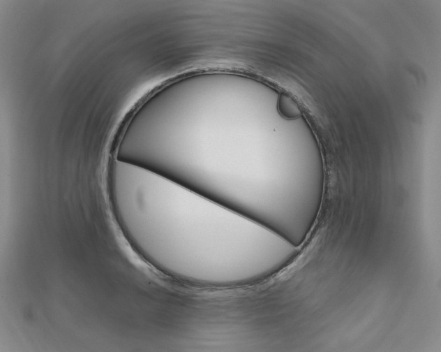 X0000112011038200908031017