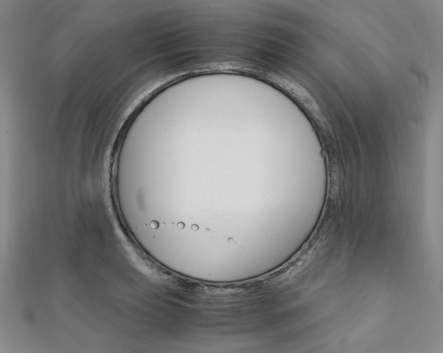 X0000112011039200908031017