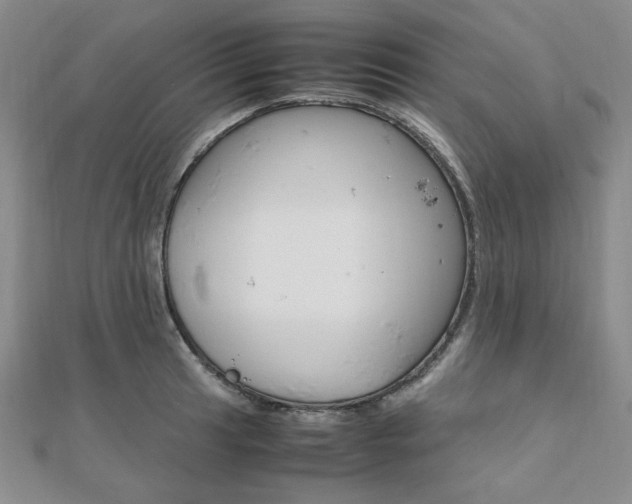 X0000112011041200908031017
