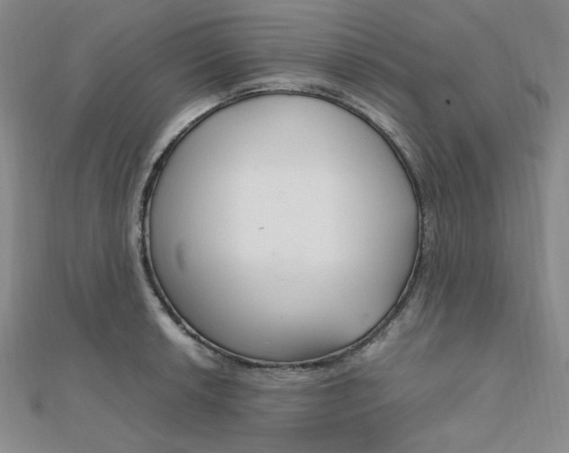 X0000112011042200908031017
