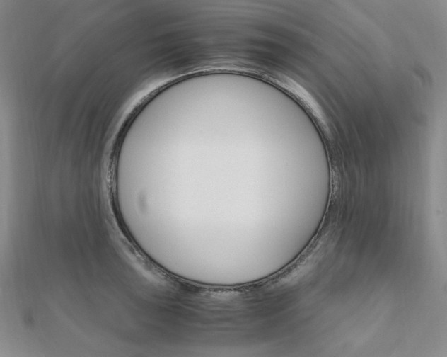 X0000112011043200908031017