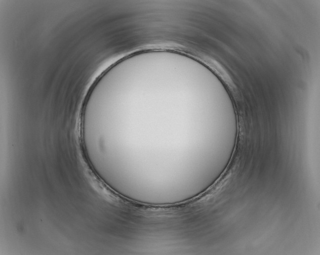 X0000112011044200908031017