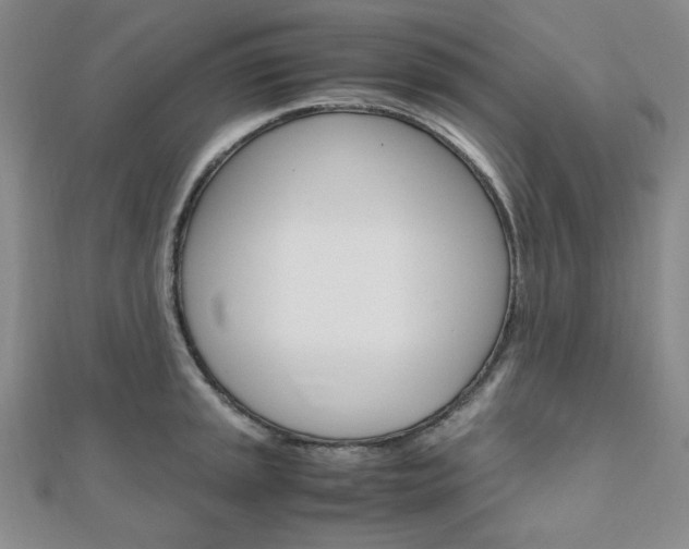 X0000112011045200908031017
