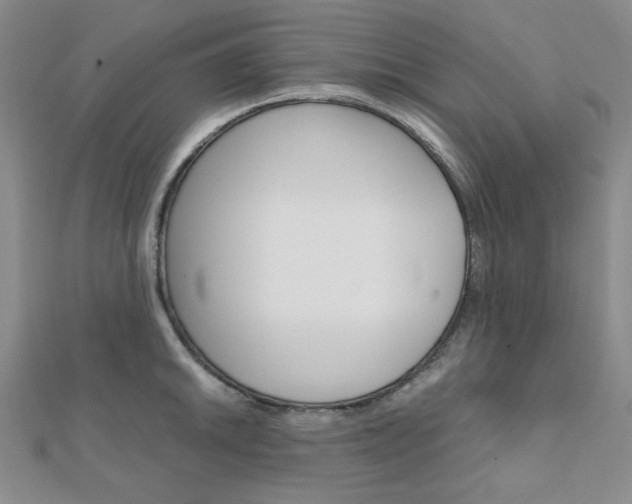 X0000112011046200908031017