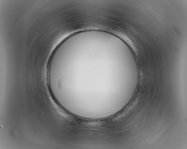 X0000112011047200908031017