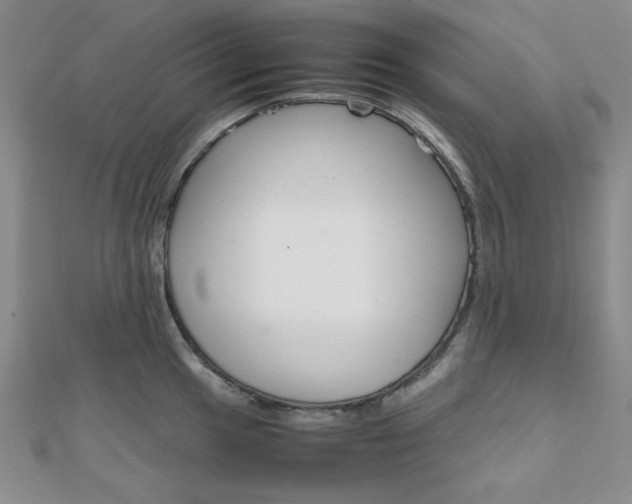 X0000112011049200908031017