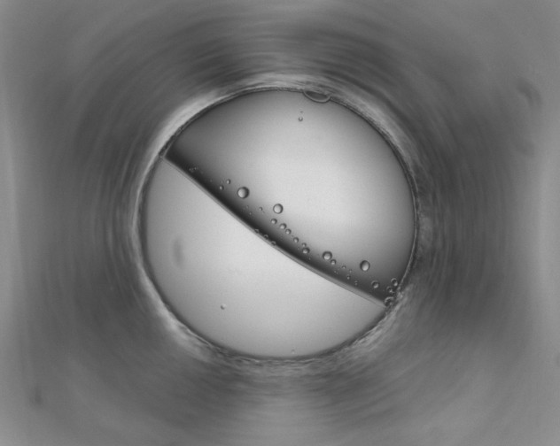 X0000112011050200908031017