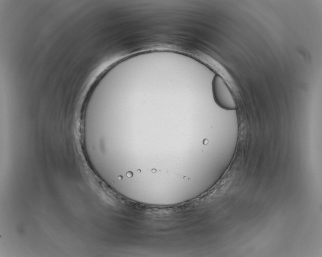 X0000112011051200908031017