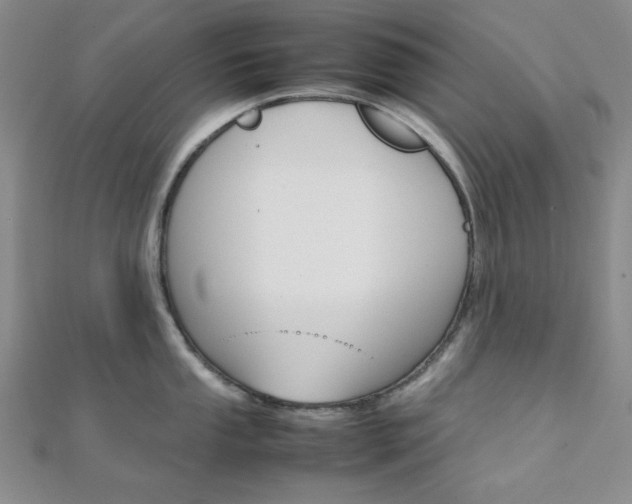 X0000112011053200908031017