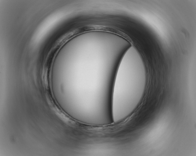 X0000112011054200908031017