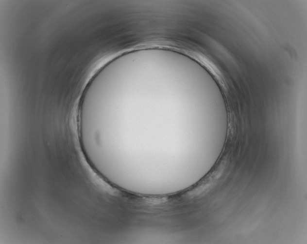 X0000112011055200908031017