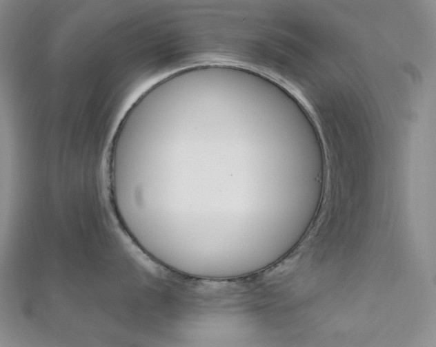 X0000112011056200908031017