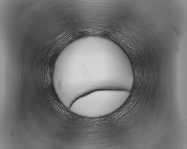 X0000112011058200908031017