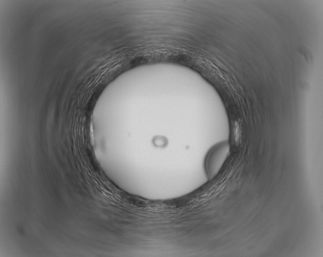 X0000112011059200908031017