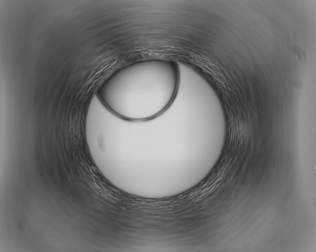 X0000112011060200908031017