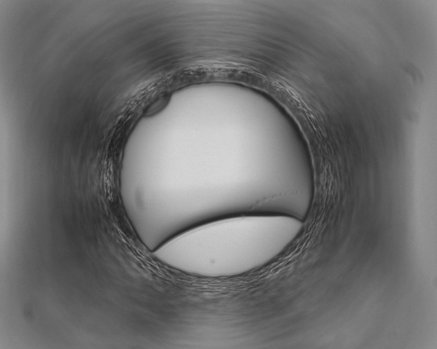 X0000112011062200908031017