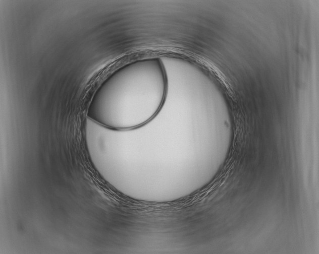 X0000112011064200908031017
