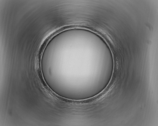 X0000112011069200908031017