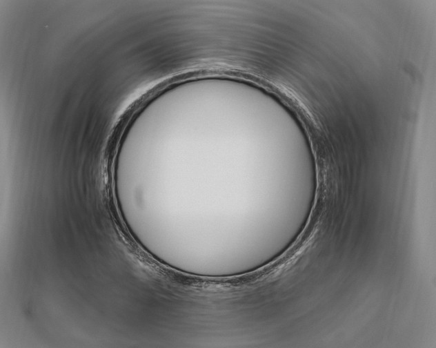 X0000112011070200908031016