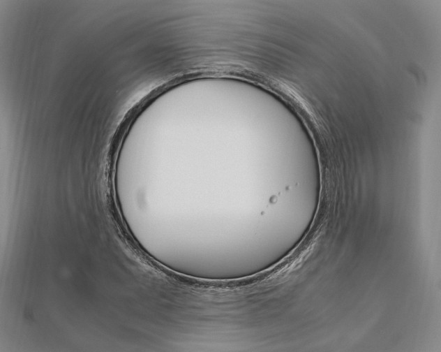X0000112011071200908031016