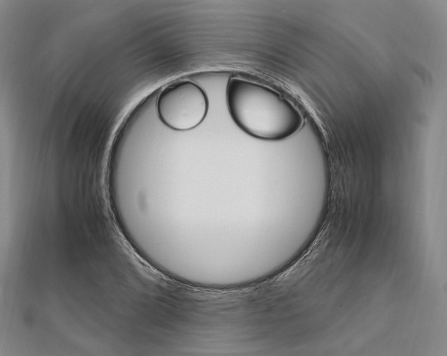 X0000112011072200908031016