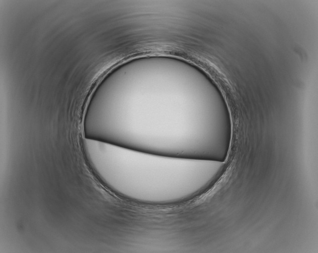 X0000112011073200908031016
