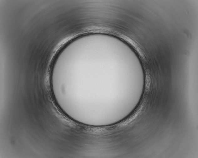 X0000112011074200908031016