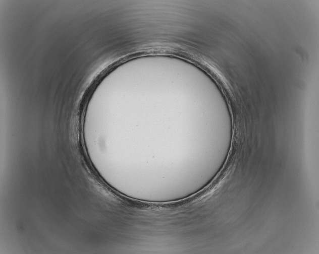 X0000112011075200908031016