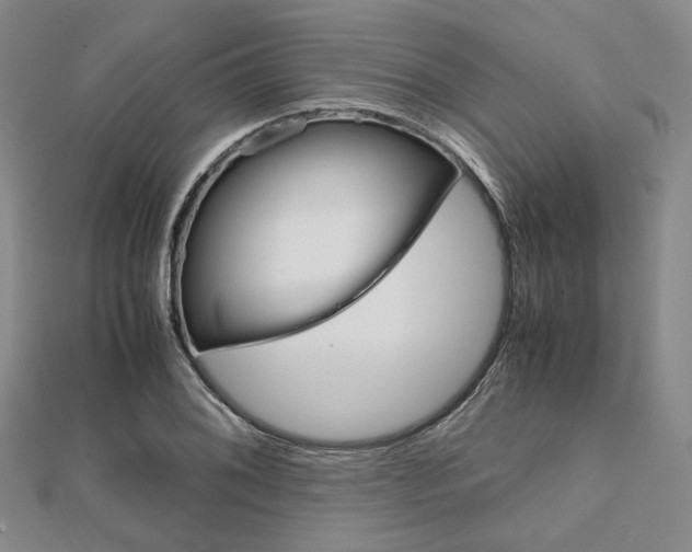 X0000112011076200908031016