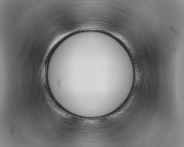 X0000112011078200908031016