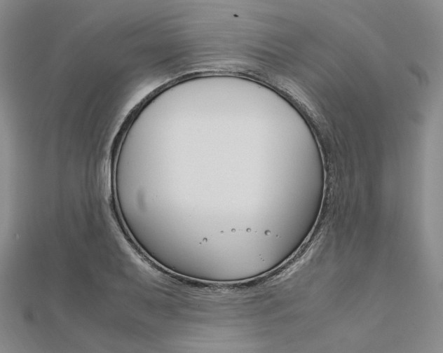 X0000112011079200908031016