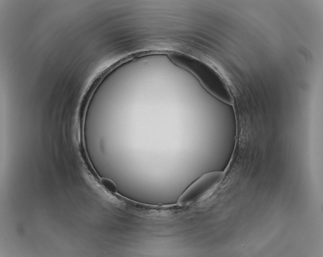 X0000112011080200908031016