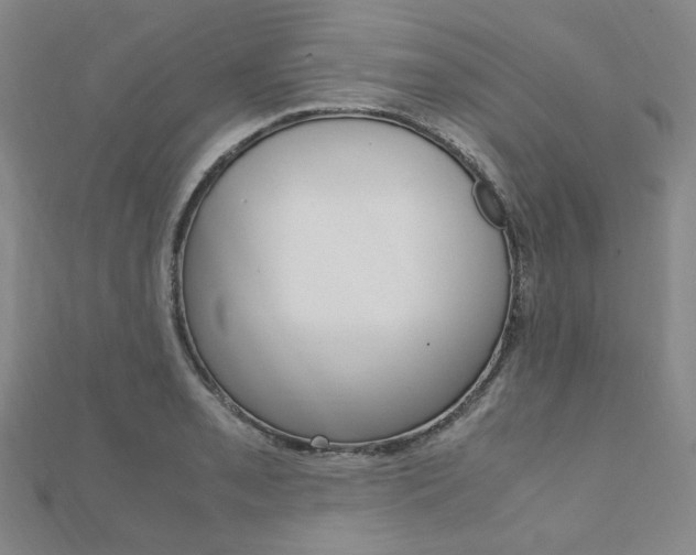 X0000112011085200908031016