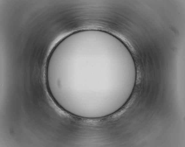 X0000112011086200908031016