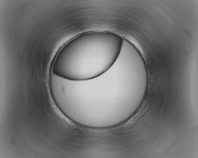 X0000112011088200908031016